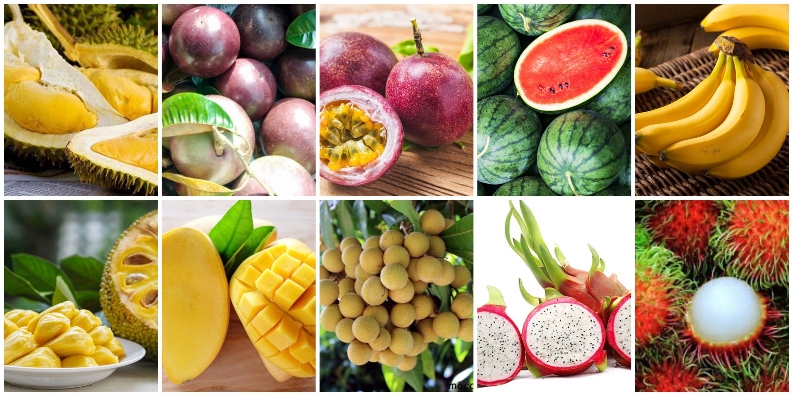 Việt Nam có đa dạng các loại trái cây tươi ngon khác nhau 