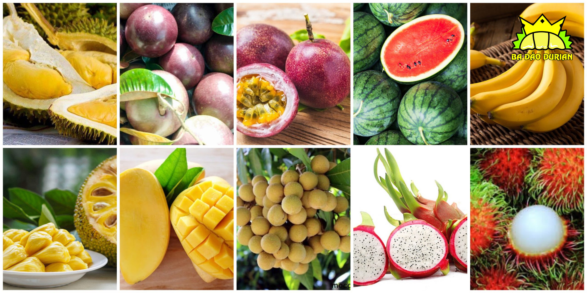 Các loại trái cây Việt Nam được phép xuất khẩu sang Trung Quốc 