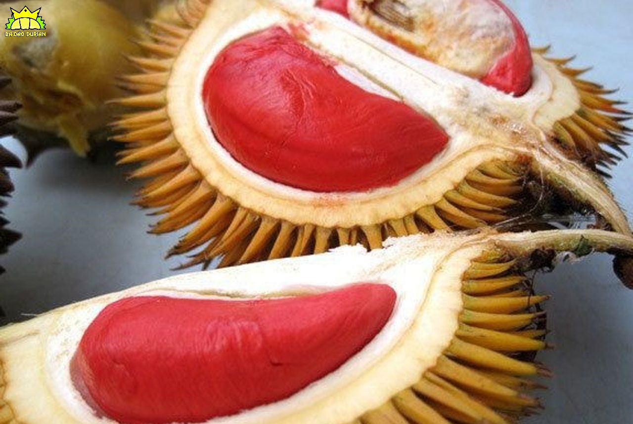 Phần lớn sầu riêng đều có ruột vàng. Tuy nhiên giống sầu riêng này lại có ruột đỏ vô cùng bắt mắt. Và đang được bày bán rộng rãi vì hương vị độc đáo và thơm ngon của nó!